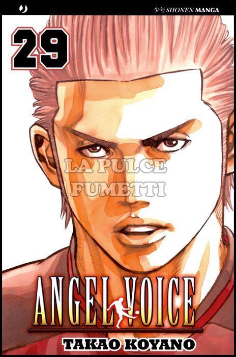 ANGEL VOICE #    29